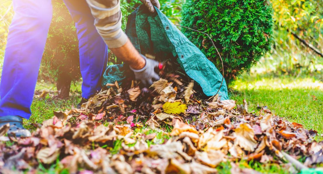 Man placing yard debris in bag