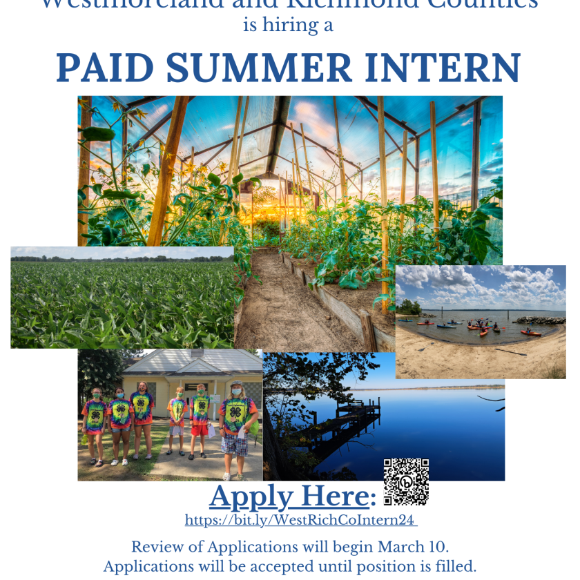 Virginia Cooperative Extension is Hiring a Summer Intern Flyer